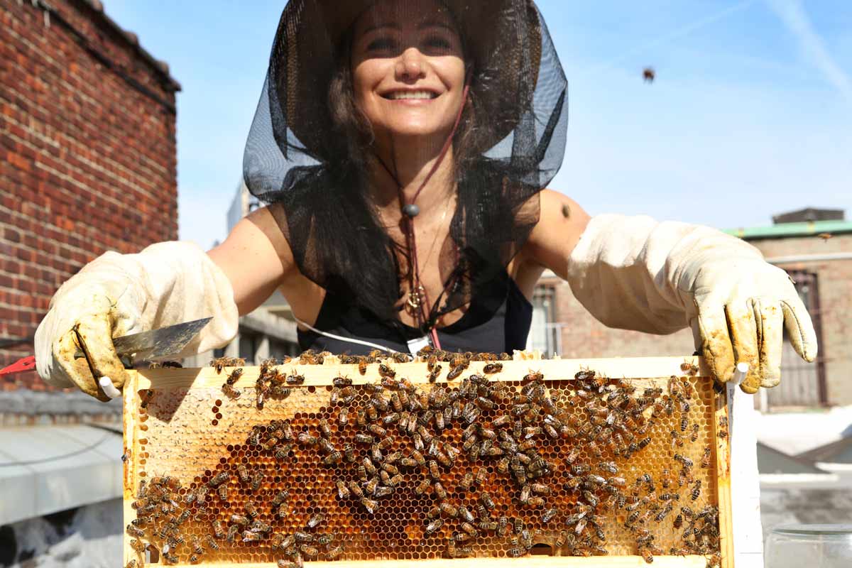 Yoga Plus Magazine - PROFILES - urban beekeeping