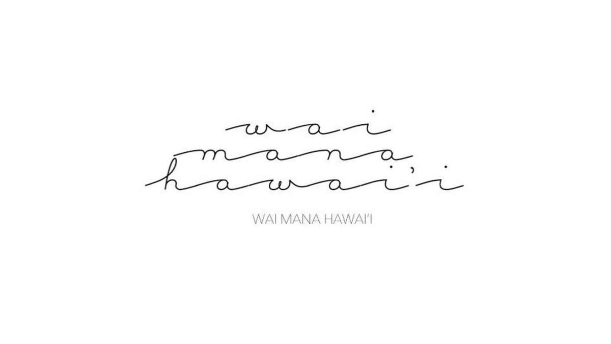 WAI MANA HAWAII - logo