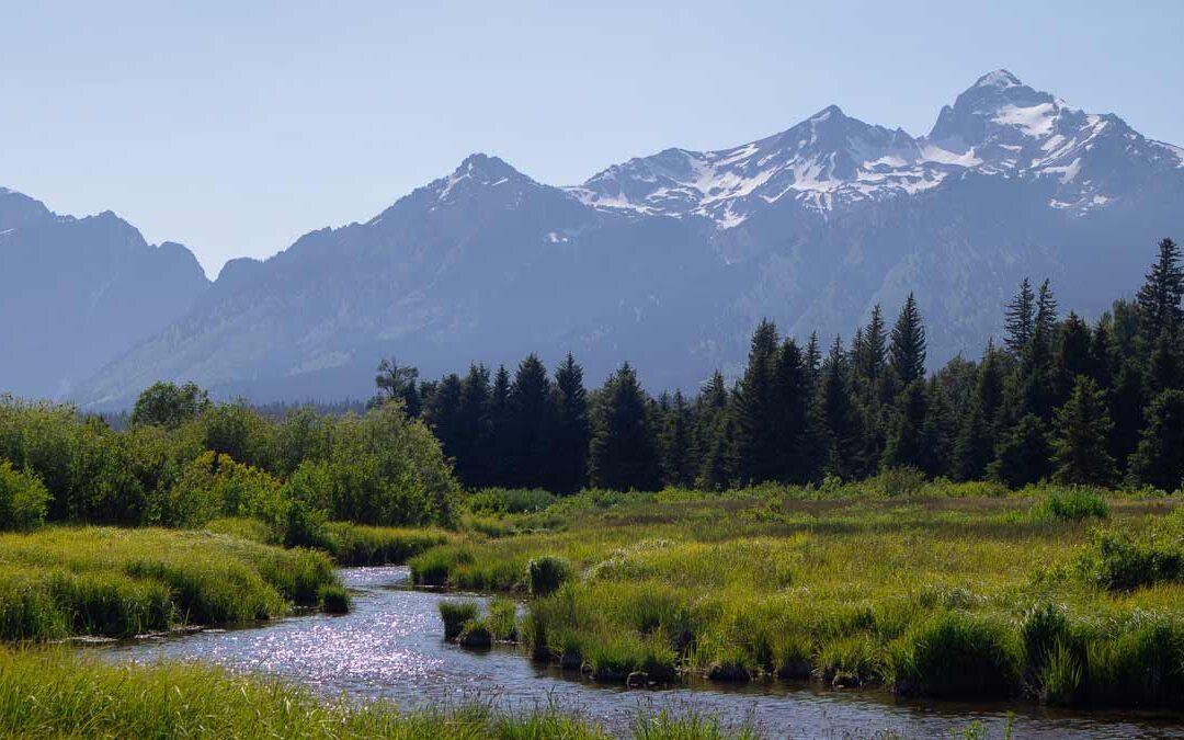 Teton Yoga Festival