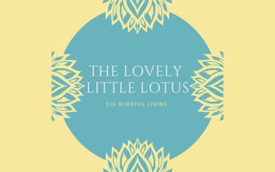 THE LOVELY LITTLE LOTUS